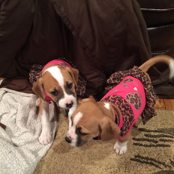 Meet your Posher, Chris - Picture 1 of 1